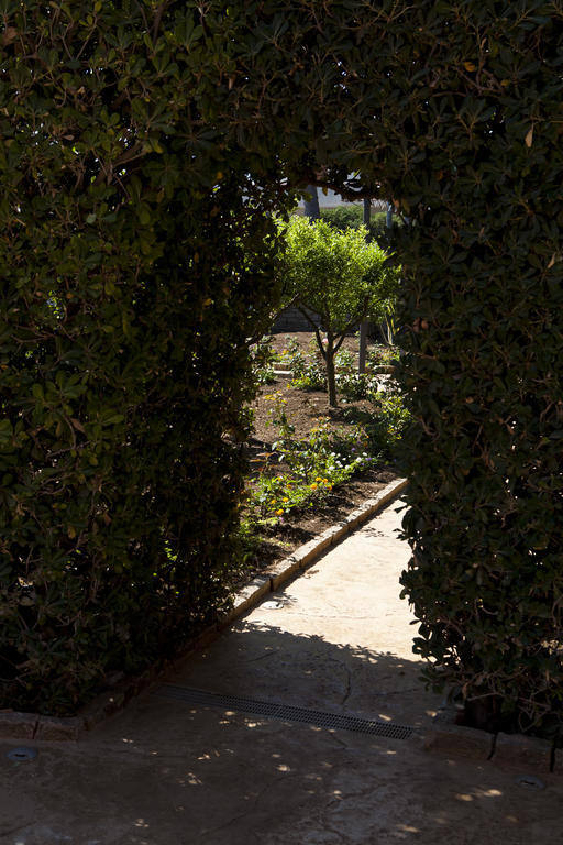 Bed & Breakfast 7cento Ulivi Valderice